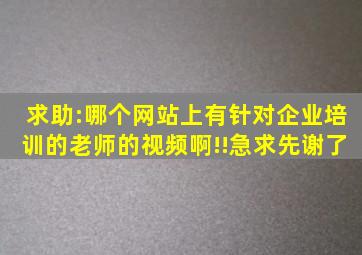 求助:哪个网站上有针对企业培训的老师的视频啊!!急求、、、、先谢了