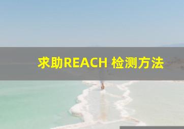 求助REACH 检测方法