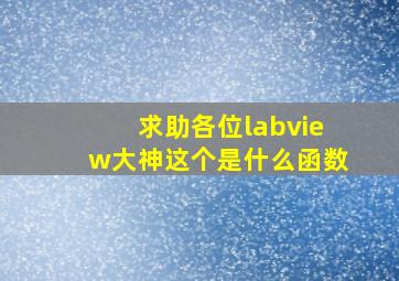 求助各位labview大神,这个是什么函数