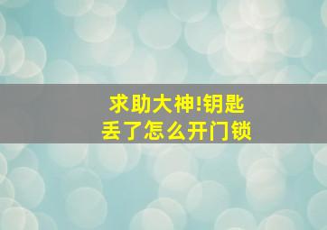 求助大神!钥匙丢了怎么开门锁