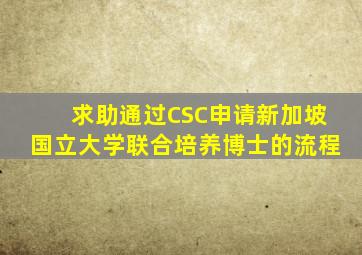 求助通过CSC申请新加坡国立大学联合培养博士的流程