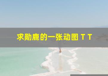 求勋鹿的一张动图 T T