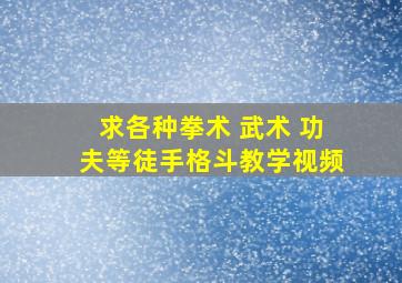 求各种拳术 武术 功夫等徒手格斗教学视频