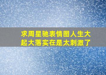 求周星驰表情图人生大起大落实在是太刺激了