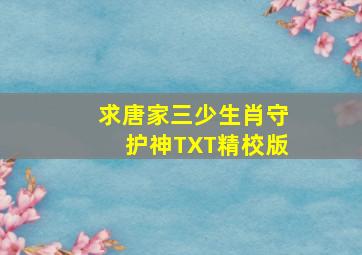 求唐家三少生肖守护神TXT精校版