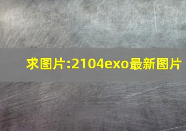 求图片:2104exo最新图片