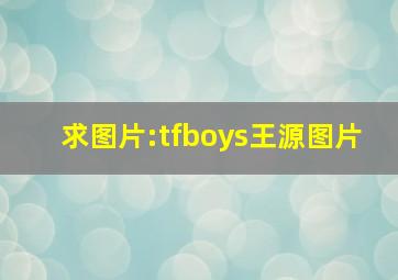 求图片:tfboys王源图片