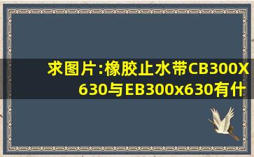 求图片:橡胶止水带CB300X630与EB300x630有什么区别