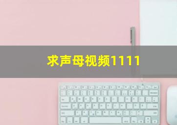 求声母视频(1111