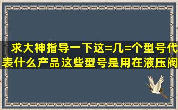 求大神指导一下这=几=个型号代表什么产品,这些型号是用在液压阀组...