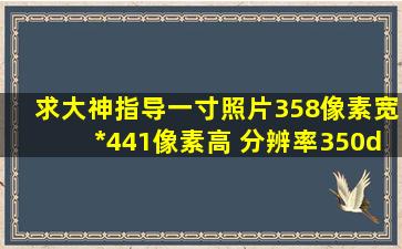 求大神指导一寸照片358像素宽*441像素高 分辨率350dpi怎么调