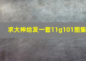 求大神给发一套11g101图集