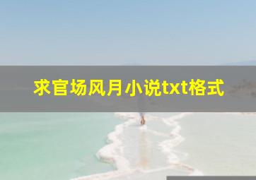 求官场风月小说txt格式,