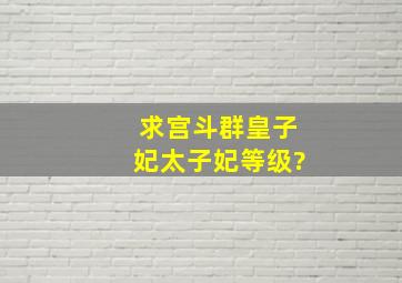 求宫斗群皇子妃、太子妃等级?