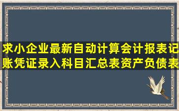 求小企业最新自动计算会计报表(记账凭证录入,科目汇总表,资产负债表,...