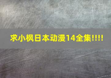 求小枫日本动漫14全集!!!!