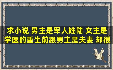 求小说 男主是军人姓陆 女主是学医的重生前跟男主是夫妻 却很讨厌男主