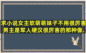 求小说,女主软萌萌妹子不用很厉害,男主是军人硬汉很厉害的那种,像《...