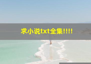 求小说txt全集!!!!