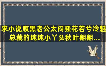 求小说《腹黑老公太闷骚》花若兮《冷魅总裁的纯纯小丫头》秋叶翩翩...