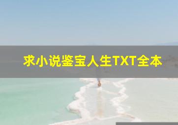 求小说《鉴宝人生》TXT全本