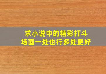 求小说中的精彩打斗场面,一处也行,多处更好。