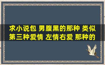 求小说包 男腹黑的那种 类似 第三种爱情 左情右爱 那种的 要求 现代...