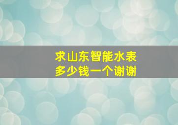 求山东智能水表多少钱一个,谢谢