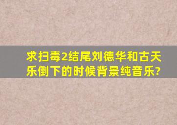 求扫毒2结尾刘德华和古天乐倒下的时候背景纯音乐?