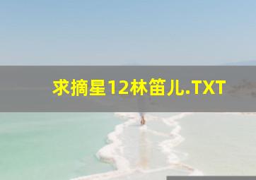 求摘星1、2林笛儿.TXT