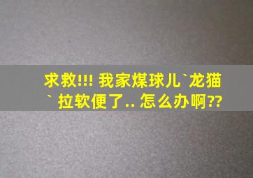 求救!!! 我家煤球儿`(龙猫)` 拉软便了.. 怎么办啊??