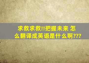 求救求救!!把握未来 怎么翻译成英语是什么啊???