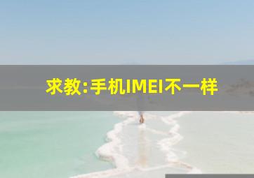 求教:手机IMEI不一样