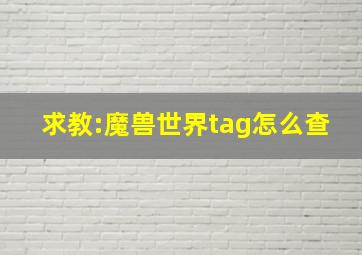 求教:魔兽世界tag怎么查