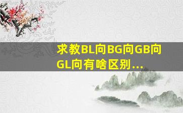 求教BL向、BG向、GB向、GL向有啥区别... 