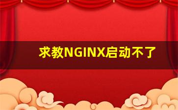 求教NGINX启动不了