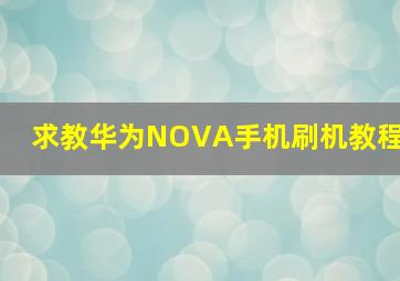 求教华为NOVA手机刷机教程