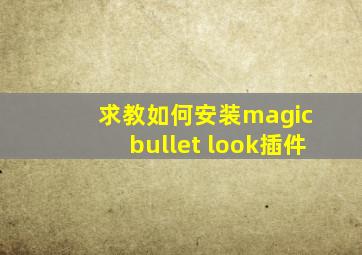 求教如何安装magic bullet look插件