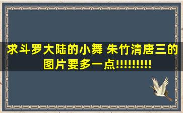 求斗罗大陆的小舞 朱竹清,唐三的图片,要多一点!!!!!!!!!