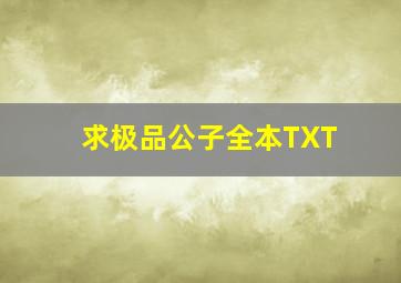 求极品公子全本TXT