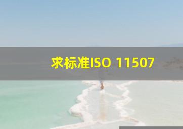 求标准ISO 11507