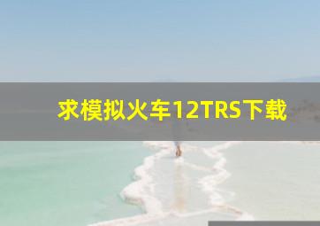 求模拟火车12(TRS)下载