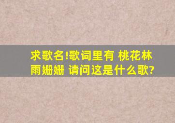 求歌名!歌词里有 桃花林雨姗姗 请问这是什么歌?