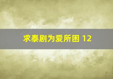 求泰剧为爱所困 12