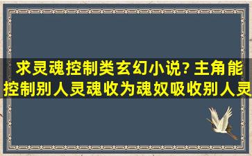 求灵魂控制类玄幻小说? 主角能控制别人灵魂,收为魂奴,吸收别人灵魂...