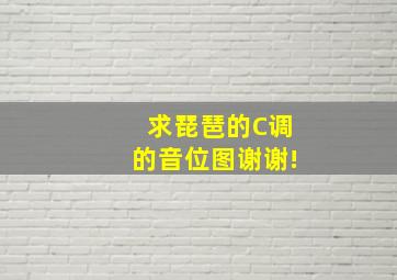 求琵琶的C调的音位图,谢谢!