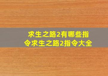 求生之路2有哪些指令求生之路2指令大全