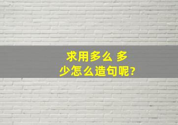 求用多么 多少怎么造句呢?