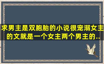 求男主是双胞胎的小说,很宠溺女主的文。就是一个女主两个男主的...