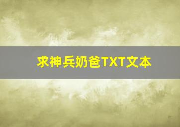 求神兵奶爸TXT文本